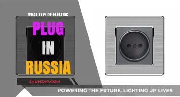 Electric Plug Types: Russia's Standard Sockets and Plugs