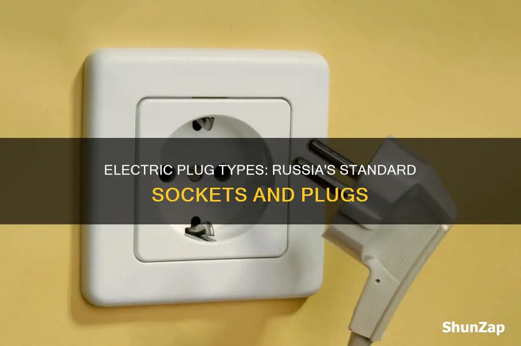 what type of electric plug in russia