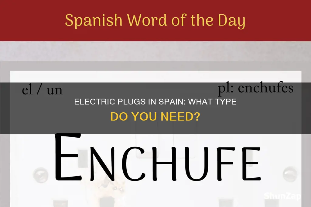 what type of electric plug in spain