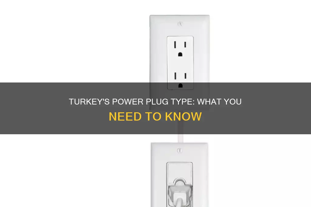 what type of electric plug in turkey