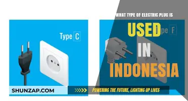 Indonesia's Electric Plug Types: A Comprehensive Guide for Travelers