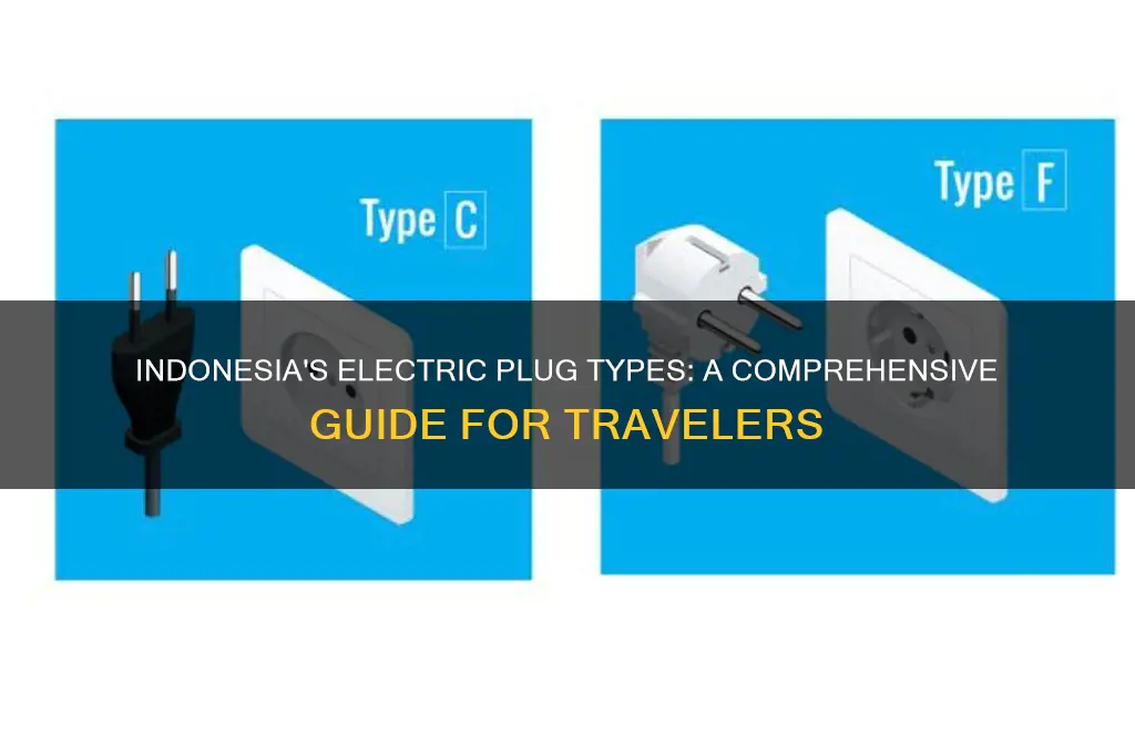 what type of electric plug is used in indonesia