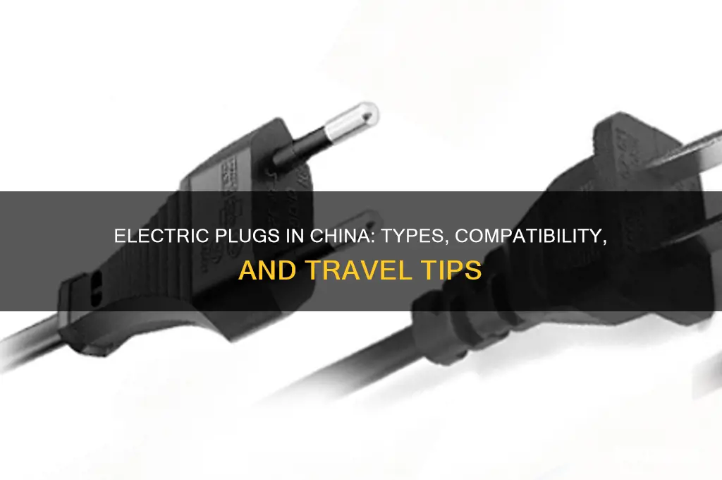 what type of electric plugs are used in china