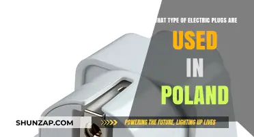 Electric Plugs in Poland: Types, Compatibility, and Travel Tips