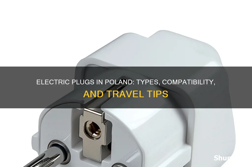 what type of electric plugs are used in poland