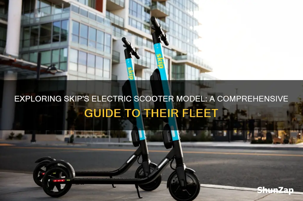 what type of electric scooter does skip use