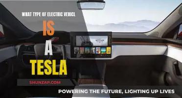 Tesla Electric Vehicles: Understanding Their Unique Features