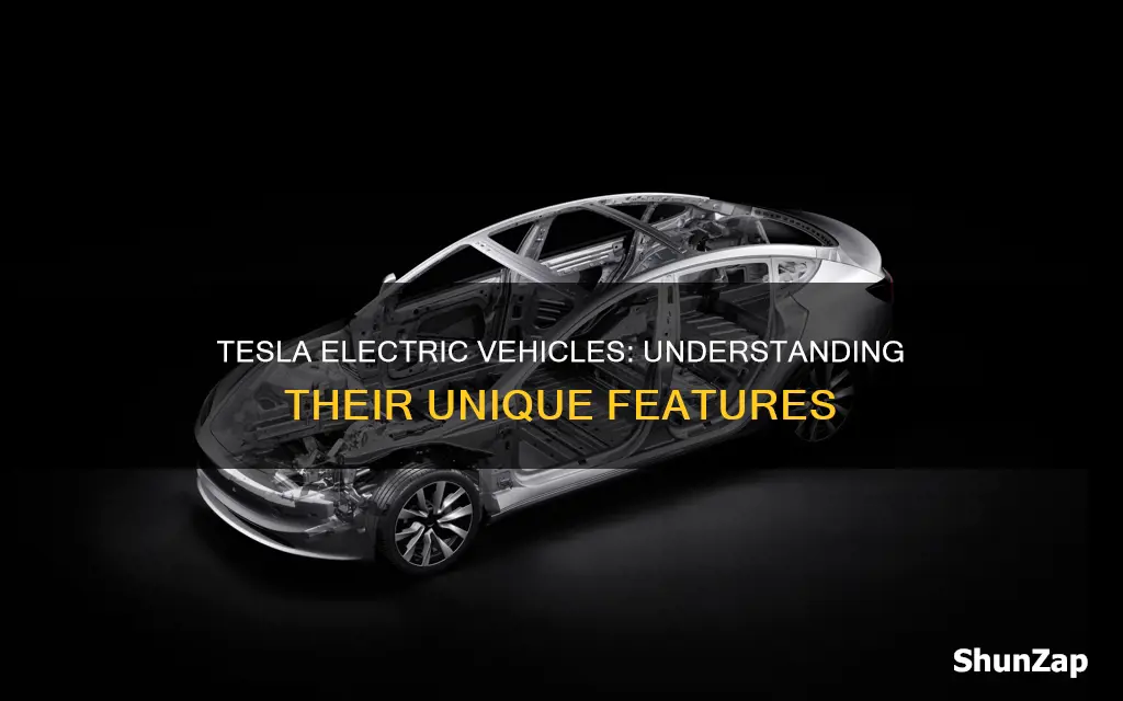 what type of electric vehicl is a tesla