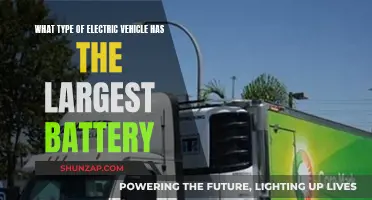 The Largest Electric Vehicle Batteries: Which Powers Longest?