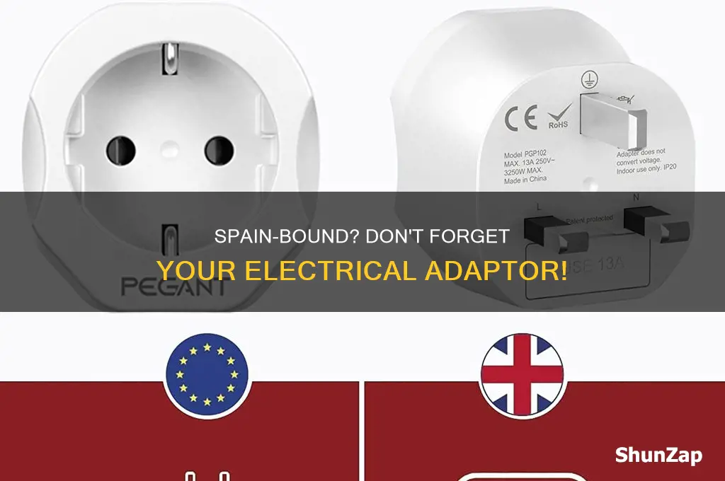 what type of electrical adaptor for spain