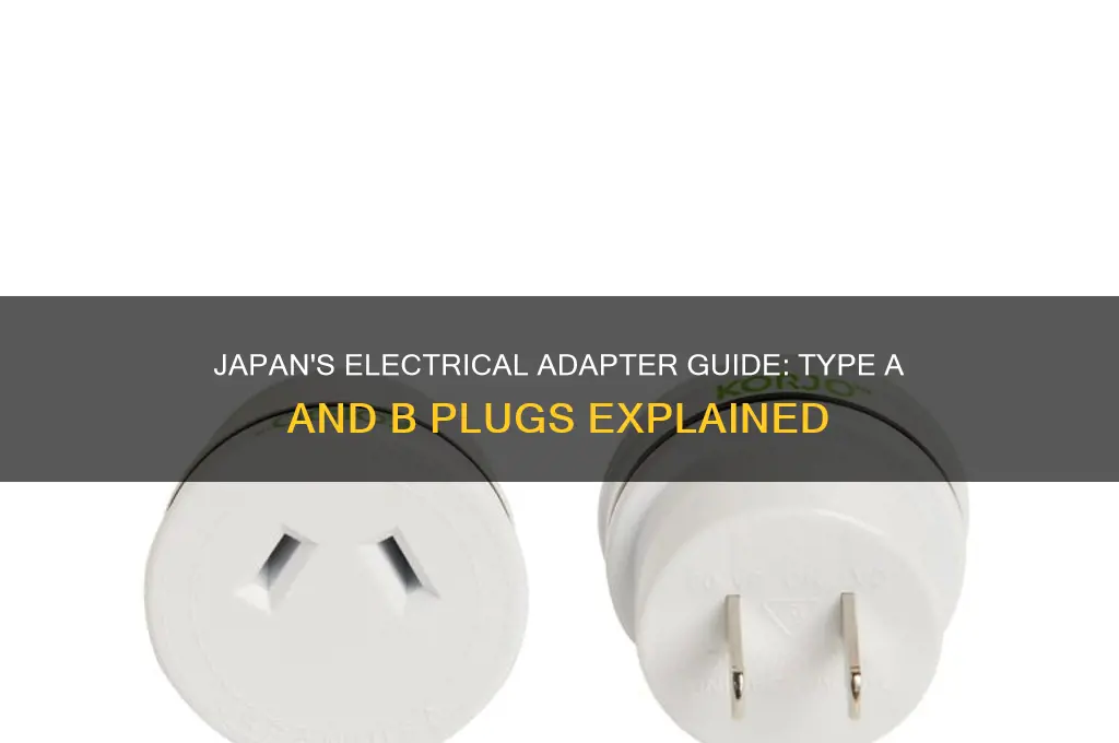 what type of electrical adpater is used in japan