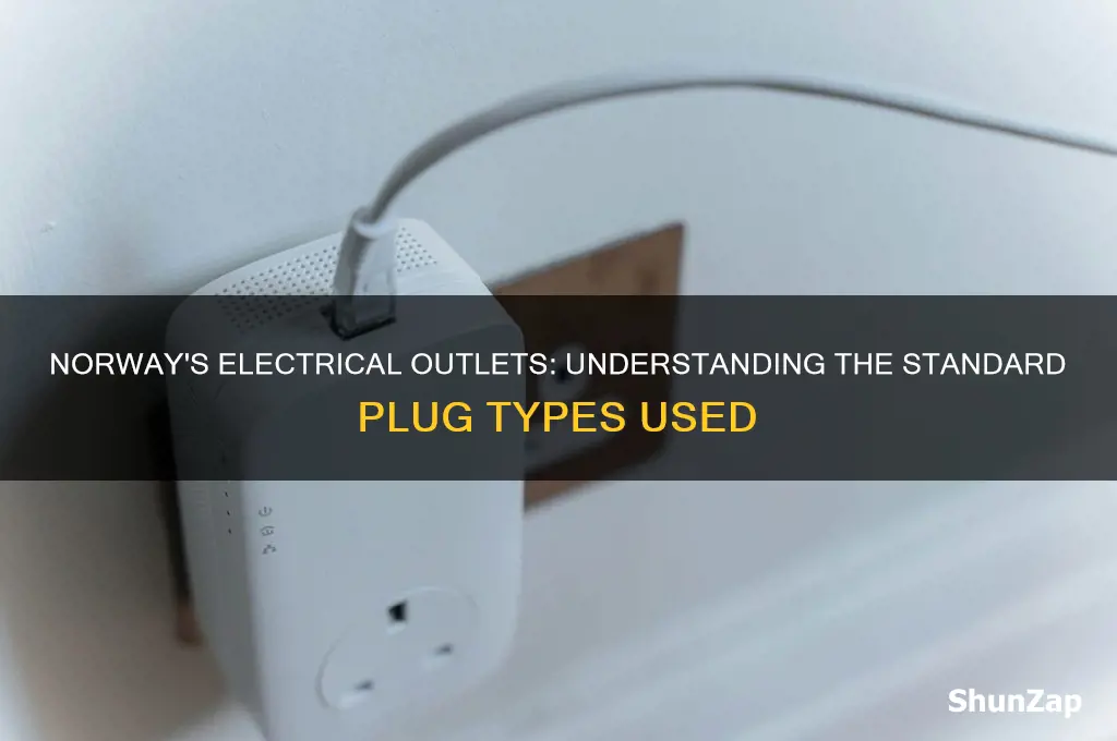 what type of electrical outlet dose norway use