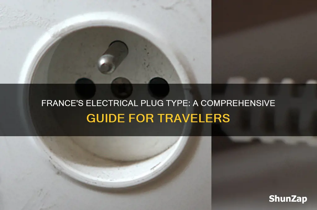 what type of electrical plug does france use