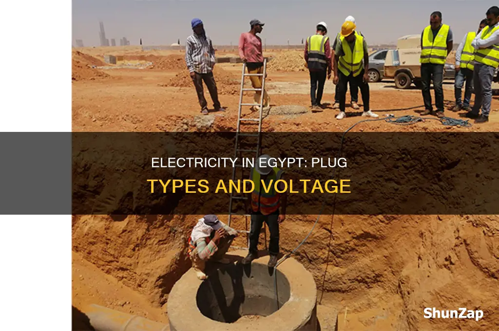 what type of electrical plug in egypt