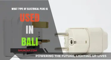 Bali's Electrical Plug Type: A Comprehensive Guide for Travelers