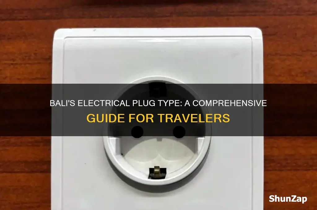 what type of electrical plug is used in bali