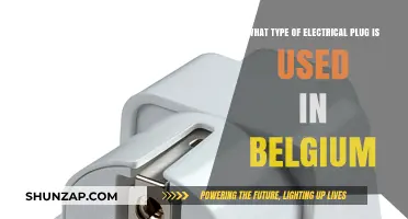 Belgium's Electrical Plug Type: A Comprehensive Guide for Travelers
