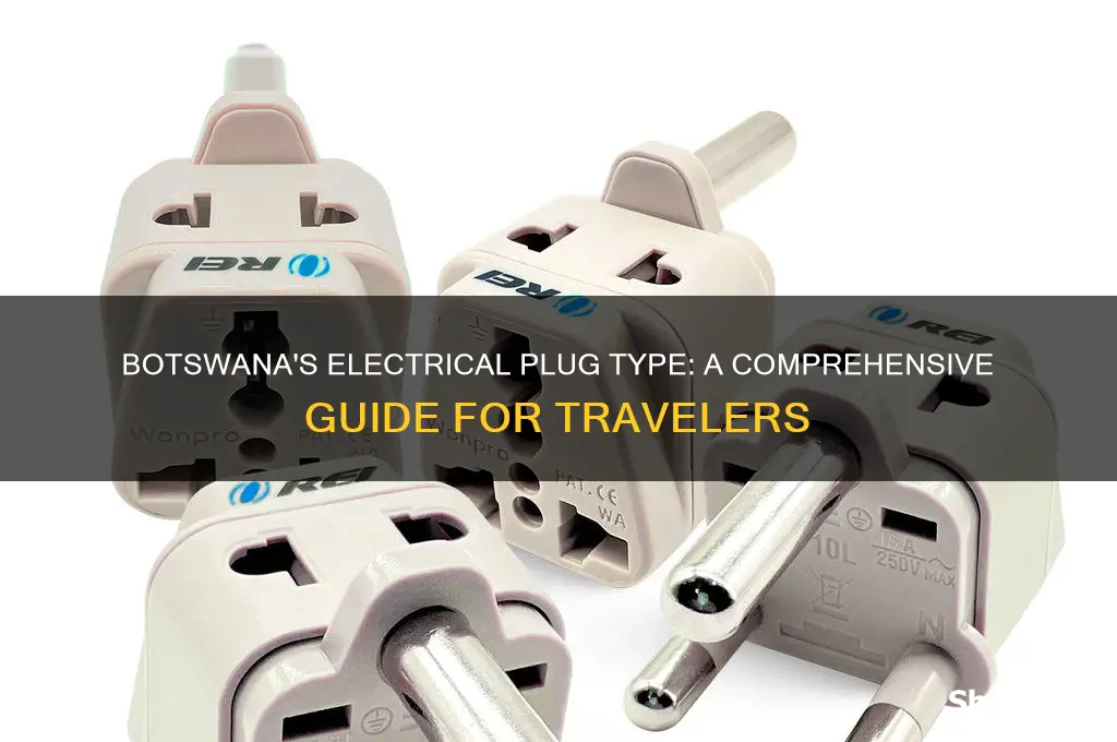 what type of electrical plug is used in botswana