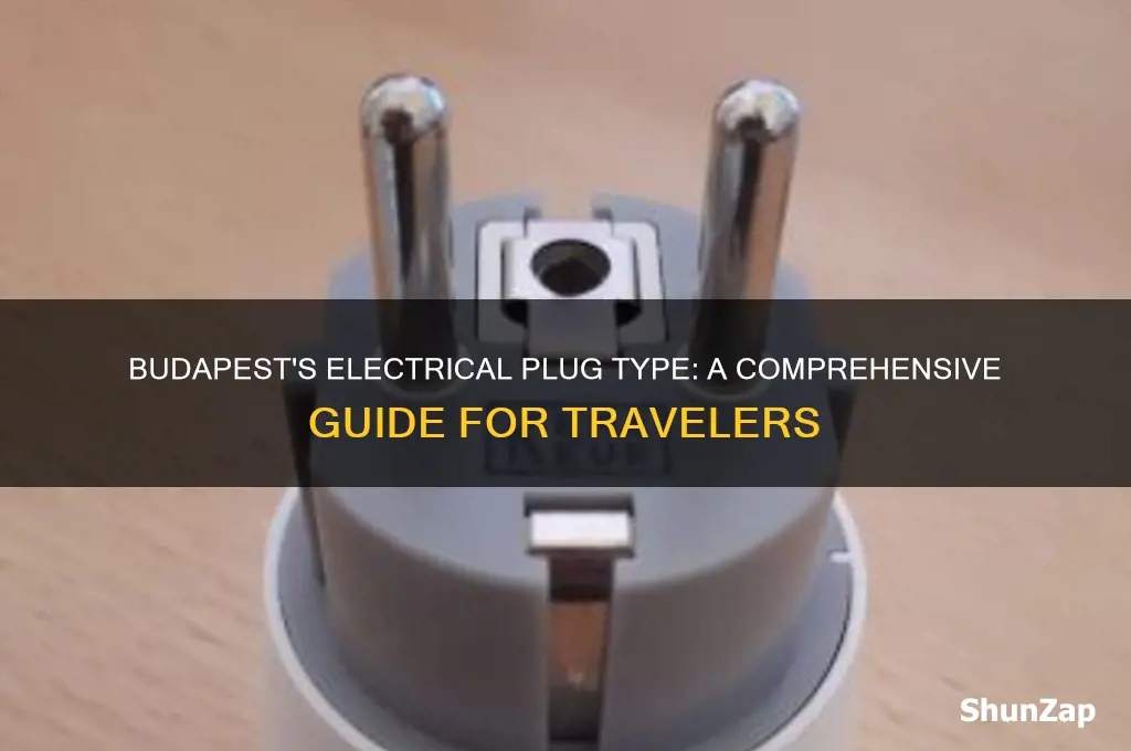what type of electrical plug is used in budapest