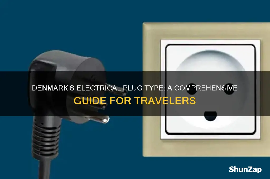 what type of electrical plug is used in denmark