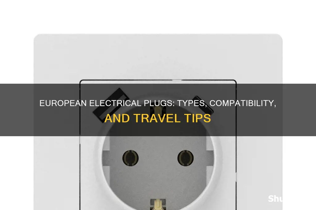 what type of electrical plug is used in europe
