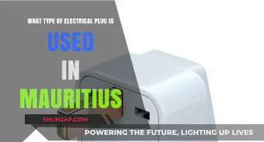 Mauritius Electrical Plug Guide: Types and Compatibility for Travelers