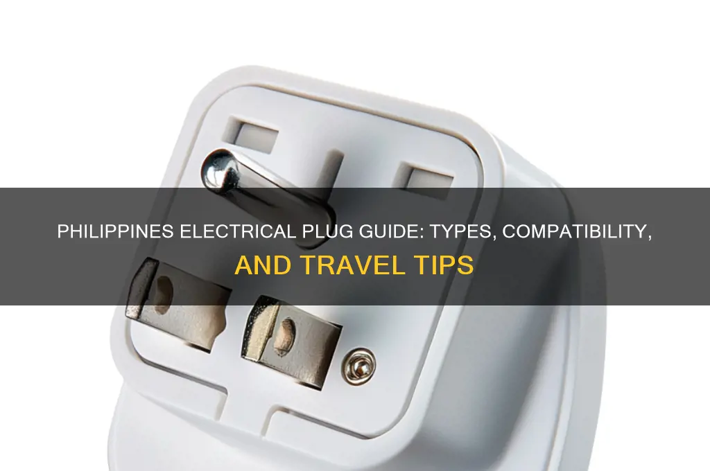 what type of electrical plug is used in philippines