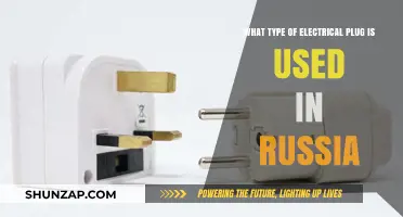 Russia's Electrical Plug Type: A Comprehensive Guide for Travelers
