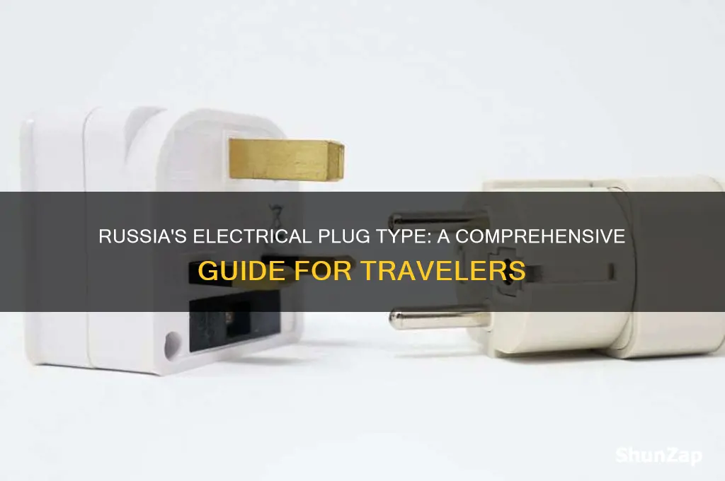 what type of electrical plug is used in russia