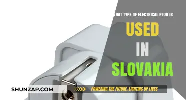 Slovakia's Electrical Plug Type: A Comprehensive Guide for Travelers