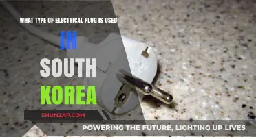 South Korea's Electrical Plug Type: A Comprehensive Guide for Travelers