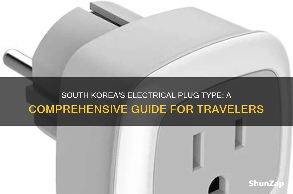 what type of electrical plug is used in south korea