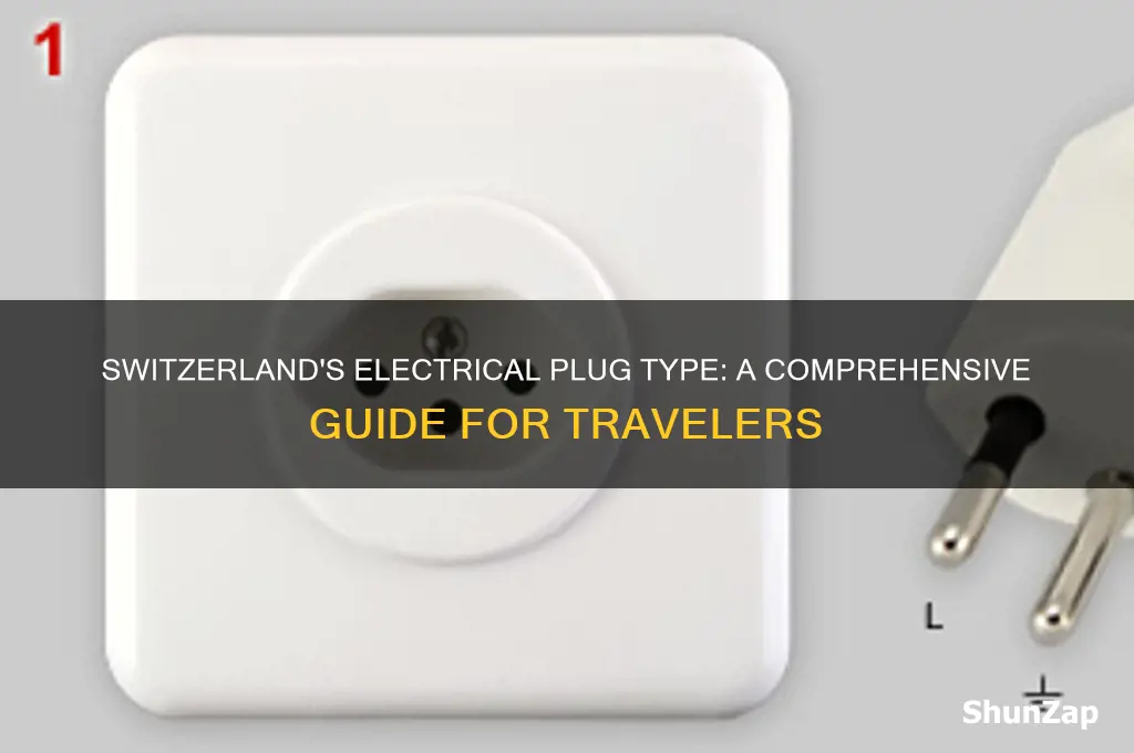 what type of electrical plug is used in switzerland