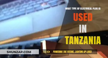 Tanzania's Electrical Plug Type: A Comprehensive Guide for Travelers
