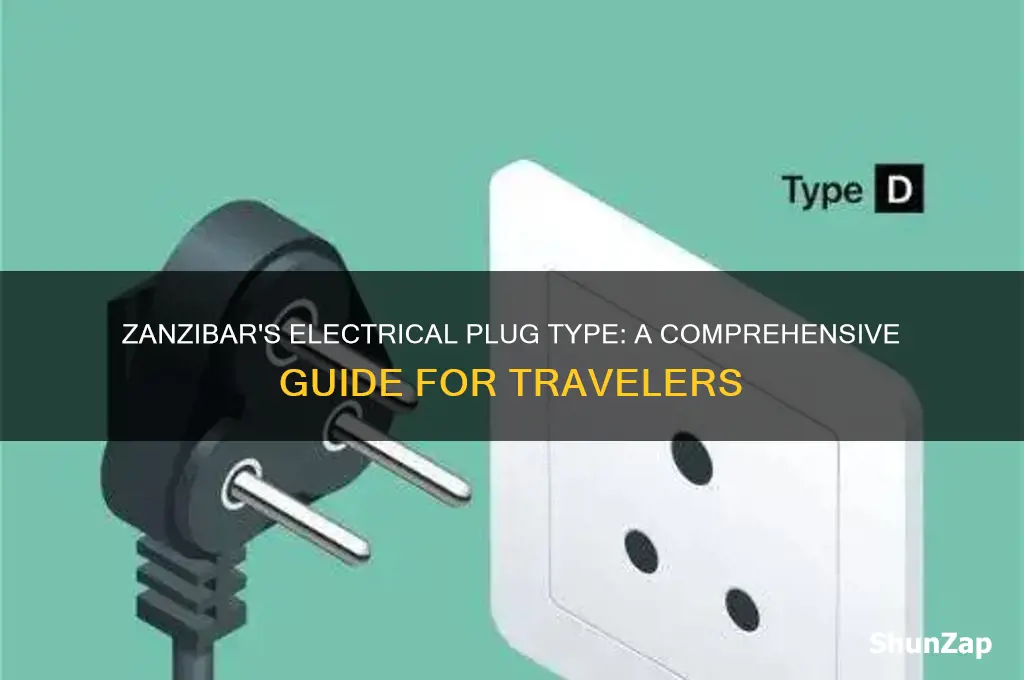 what type of electrical plug is used in zanzibar