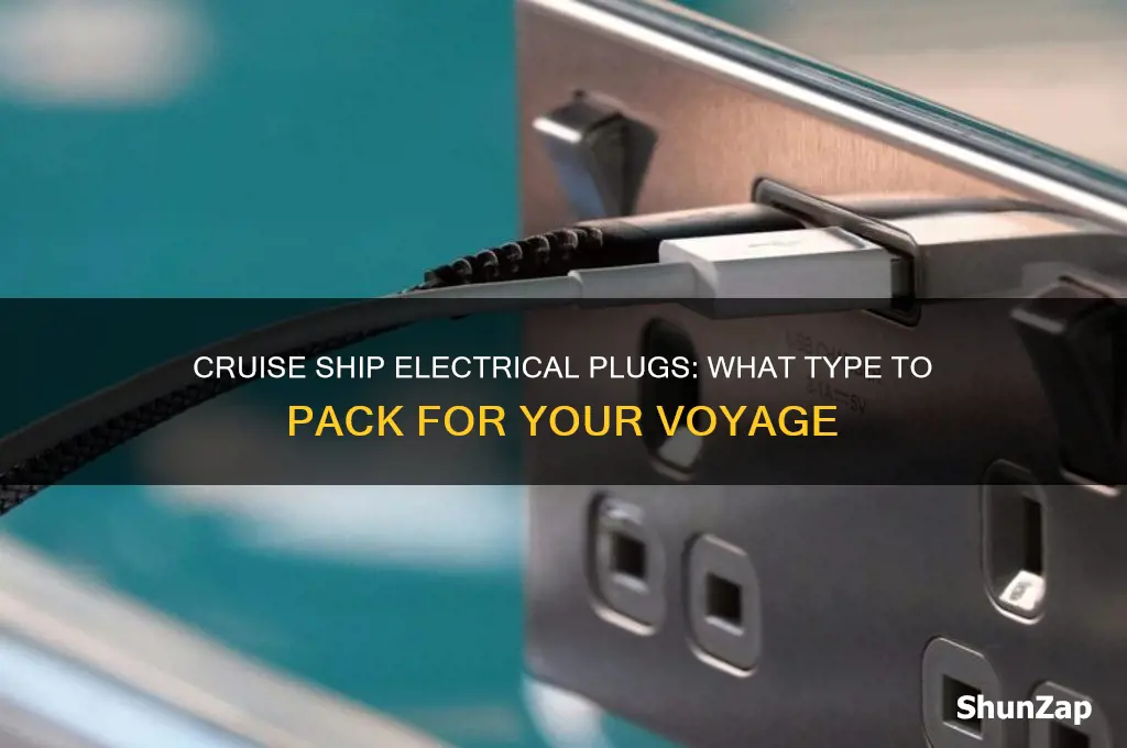 what type of electrical plug is used on cruise ship