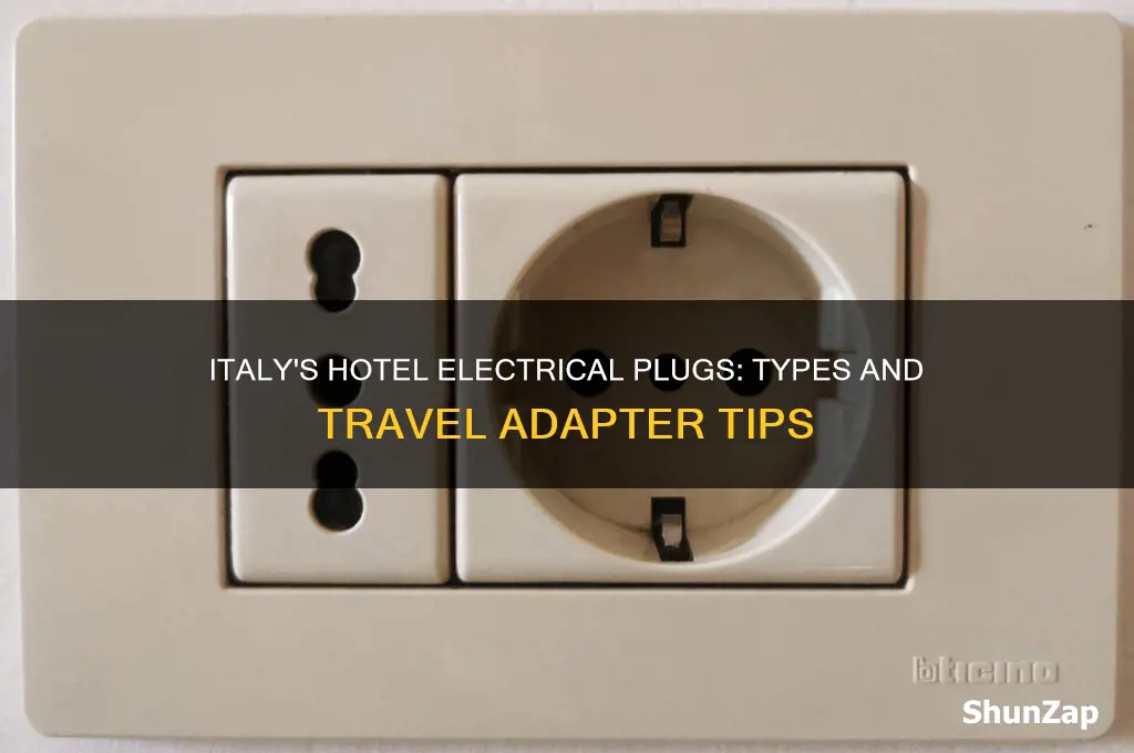 what type of electrical plugs does italy use in hotels