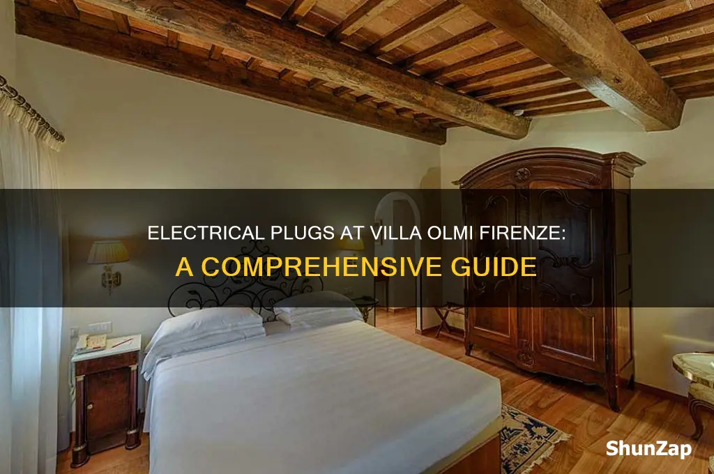 what type of electrical plugs does villa olmi firenze use