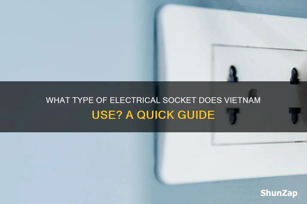 what type of electrical socket does vn use