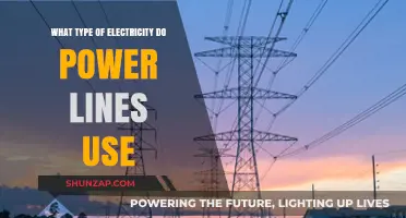 Understanding Power Lines: The Type of Electricity They Transmit