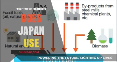 Japan's Power Sources: Exploring the Types of Electricity Used Nationwide