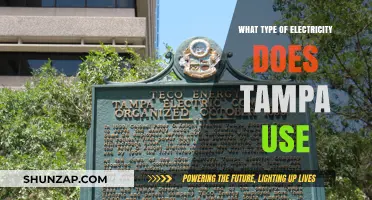 Tampa's Power Sources: Exploring the Types of Electricity Used in the City