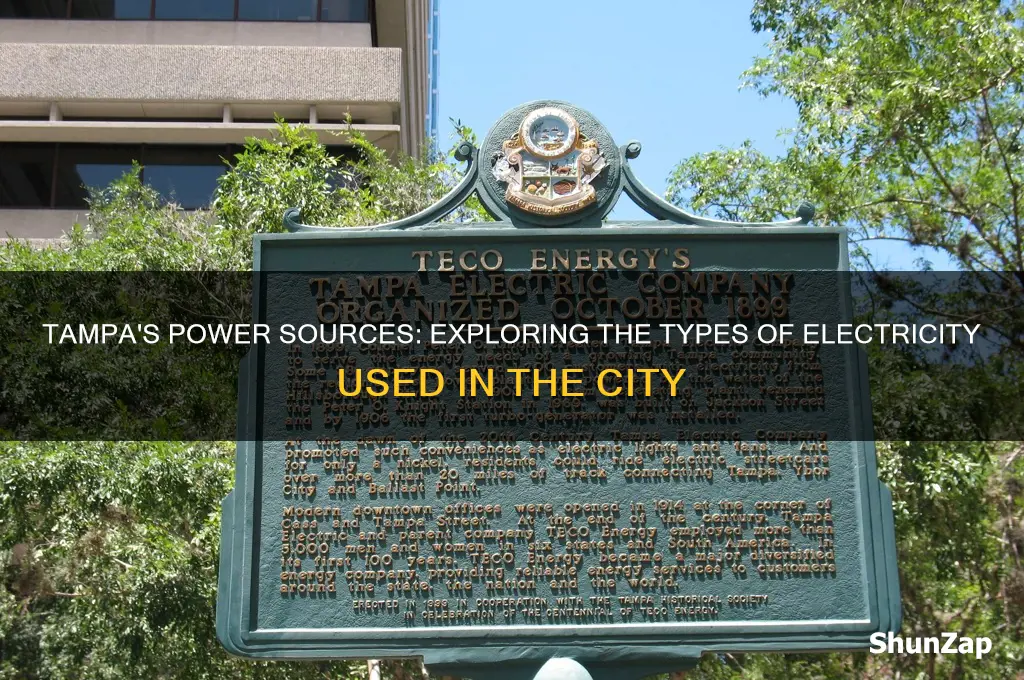 what type of electricity does tampa use