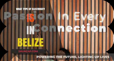 Electricity in Belize: A Unique Power Scenario