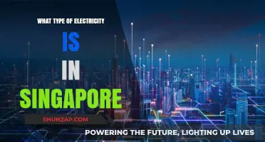 Electricity in Singapore: The Power Source Revealed