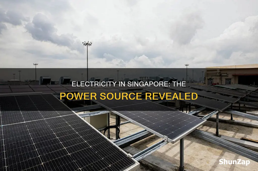 what type of electricity is in singapore
