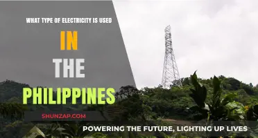 Powering the Philippines: Exploring the Country's Electricity Sources and Types