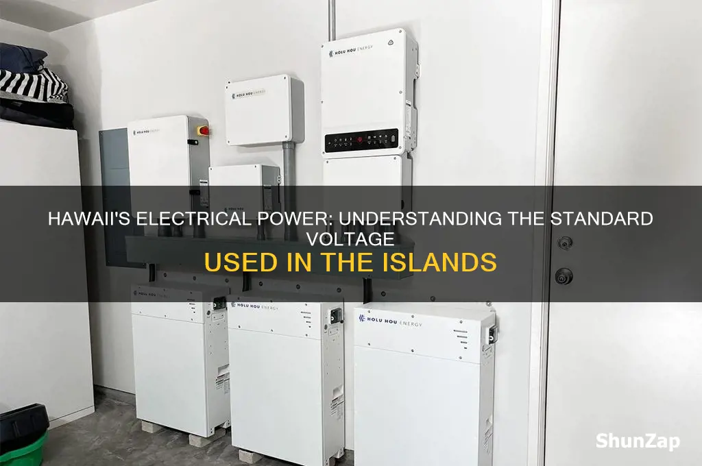 what type of electricity voltage is used in hawaii