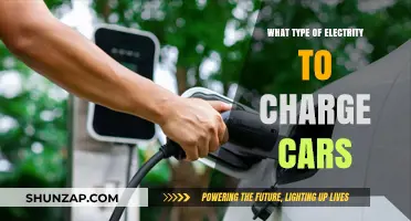 Choosing the Right Electricity Type for Efficient Electric Vehicle Charging
