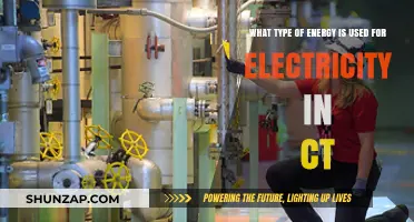 Connecticut's Power Sources: Exploring the Energy Mix for Electricity